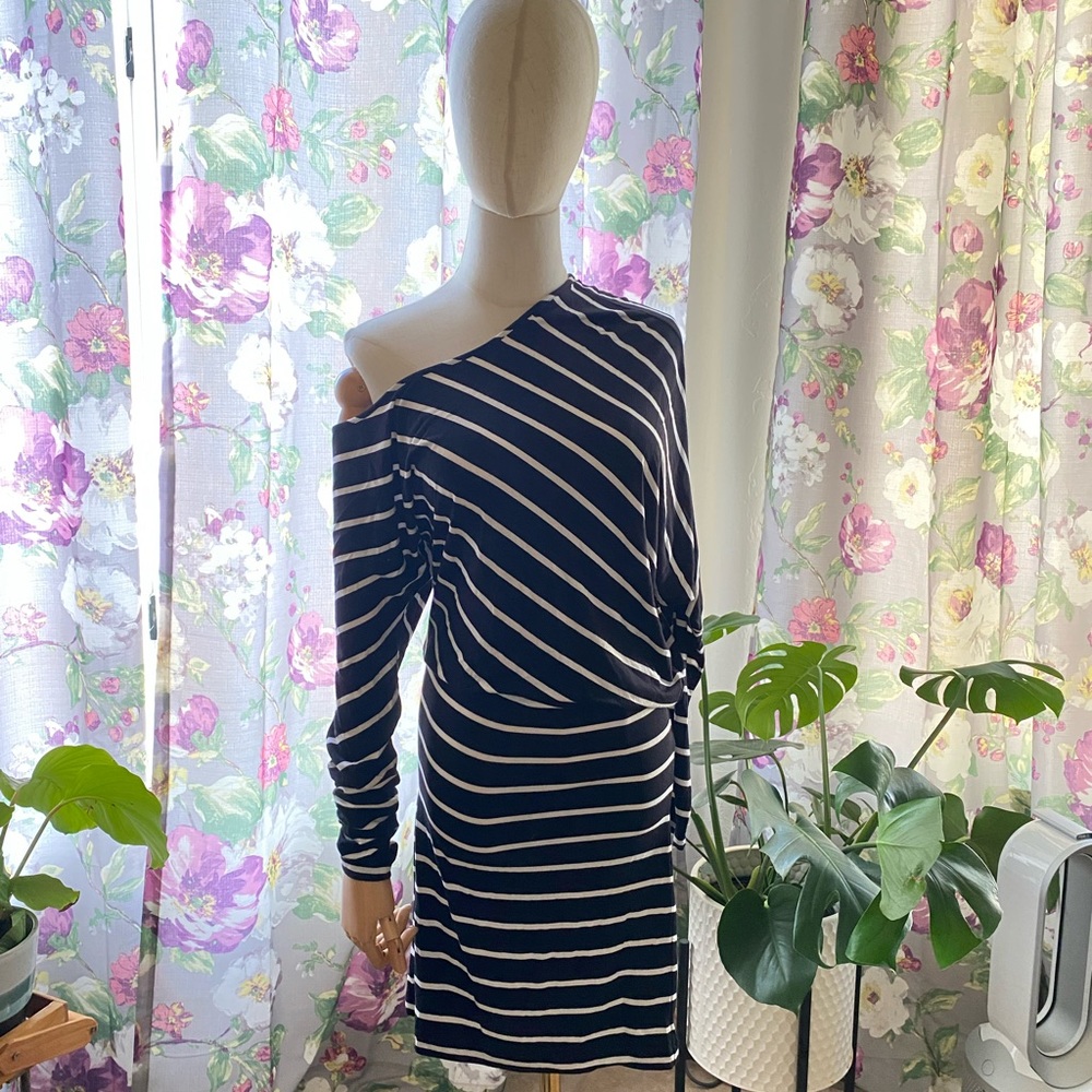 Small BCBG Maxazria Asymmetrical Dress